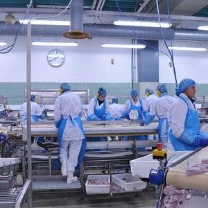 Listeria Control in the Food Plant - Spray Chem